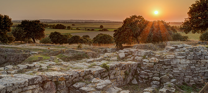 What Brings You To Troy?