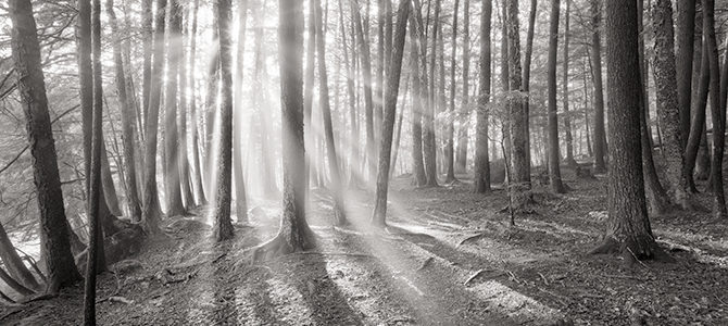 Wisconsin Photography 2016 Exhibit Includes Two Wolf River Photographs