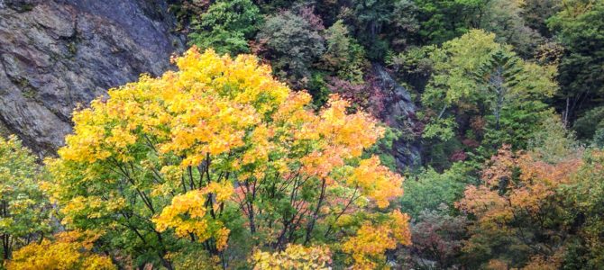 How to Visit a Japanese Onsen (Hot Spring Spa)