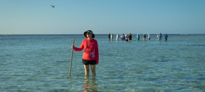 The Great Barrier Reef – Heron Island