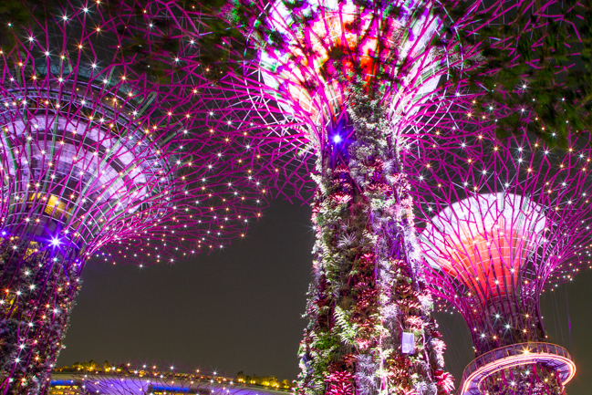 Super Trees in Singapore