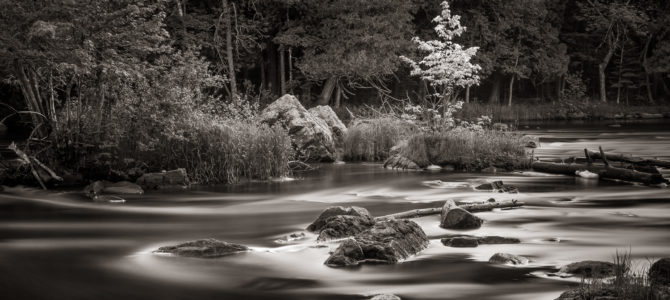 Published – Wolf River Project